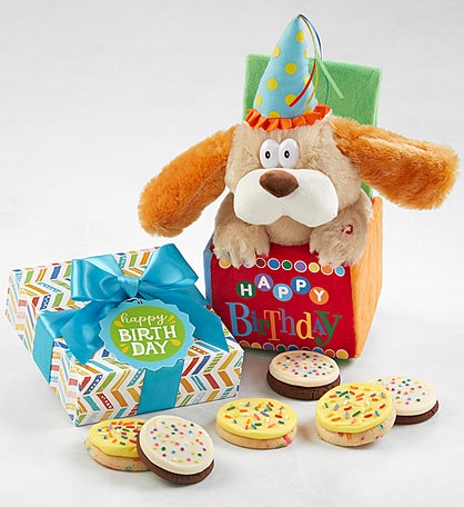 Birthday Cookie Gift Box & Plush Dog