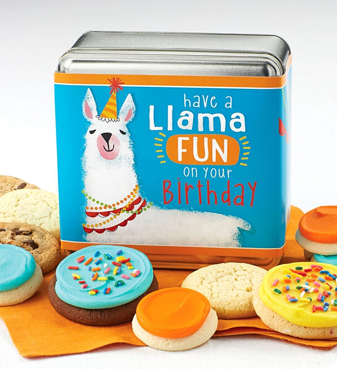 Have A Llama Fun Gift Tin