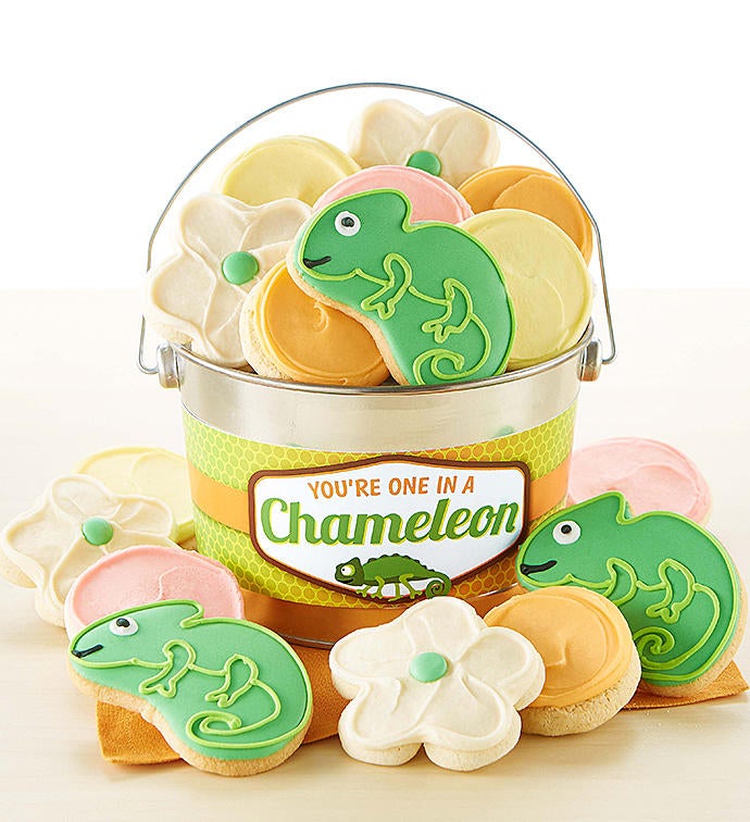 You&#39;re One in a Chameleon Cookie Pail
